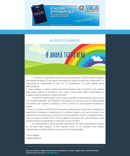 SSICA Newsletter 2020 #andratuttobene