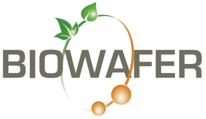 Progetto Biowafer