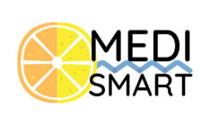 Medismart Project Mobile