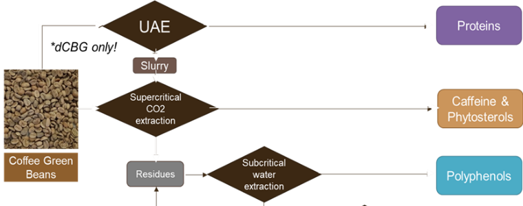 Antiossidante naturale